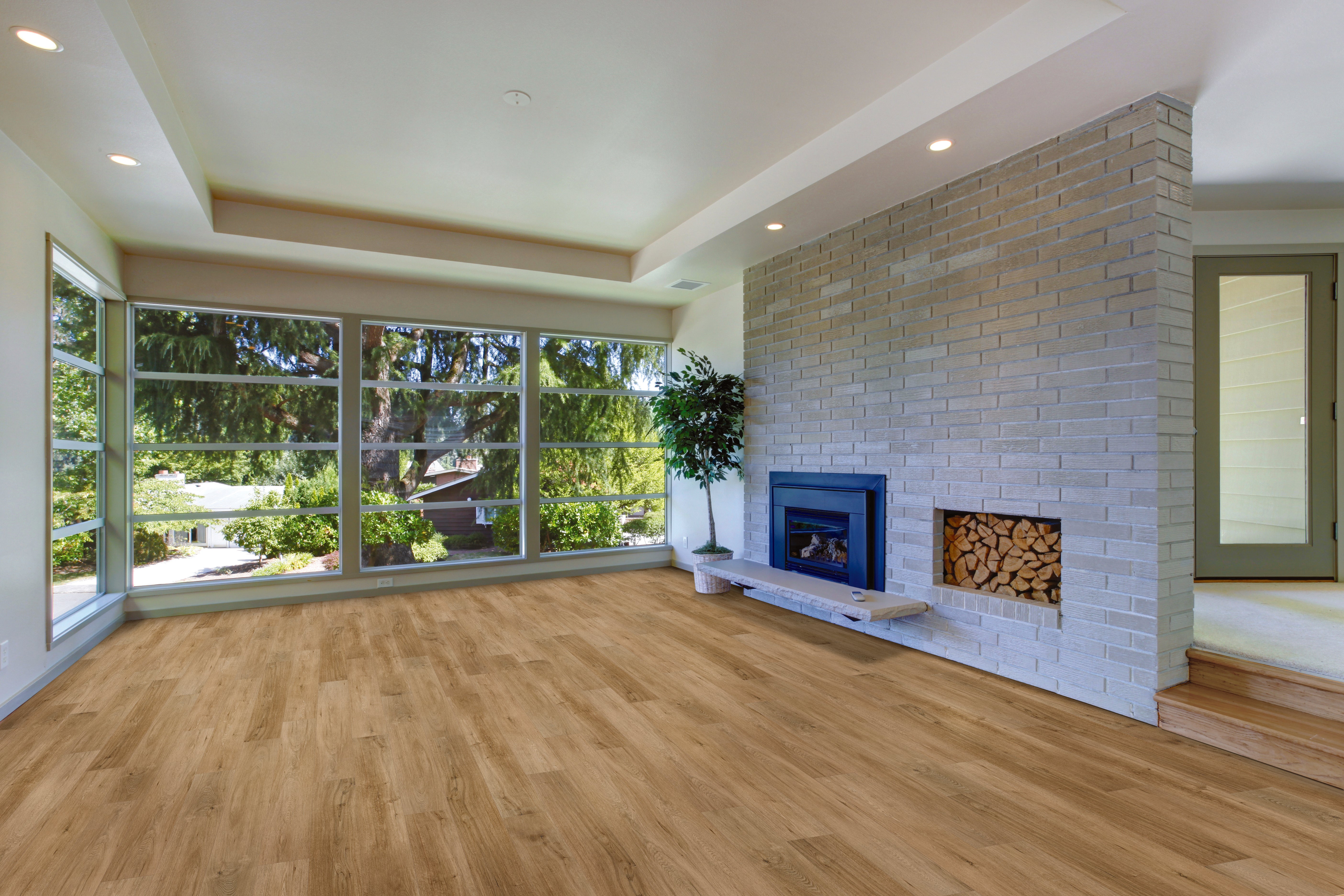 Sun Oak-2