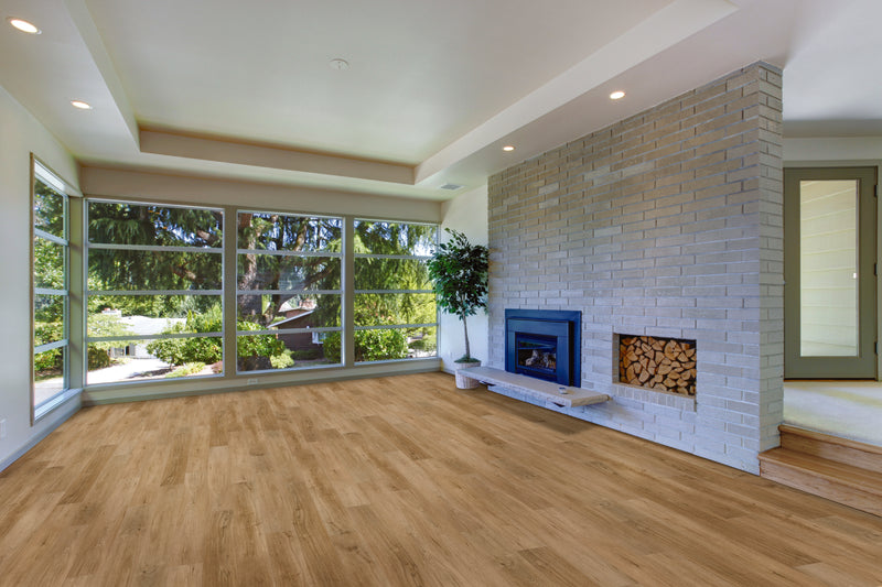 Sun Oak-2