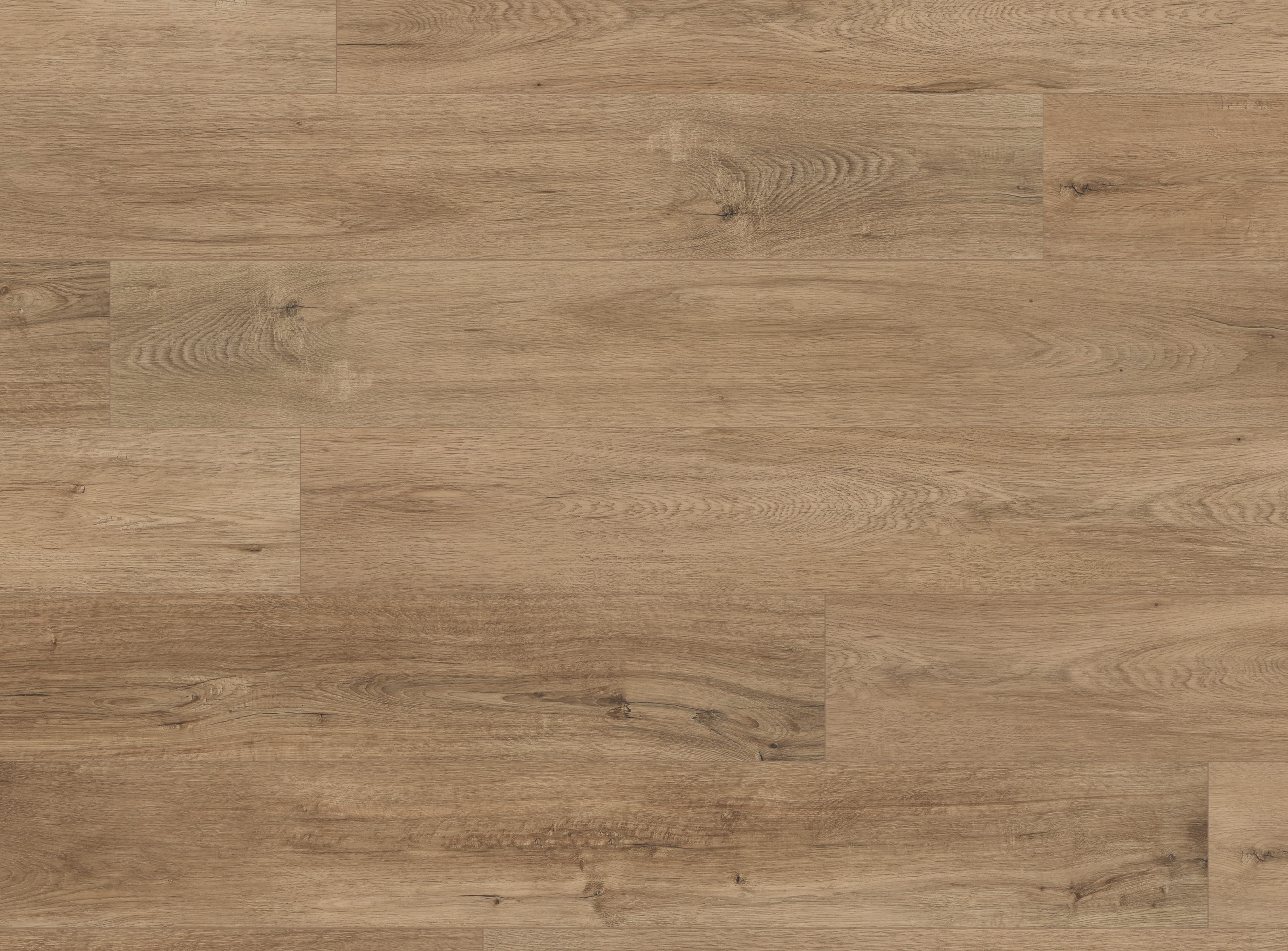 Sun Oak-1