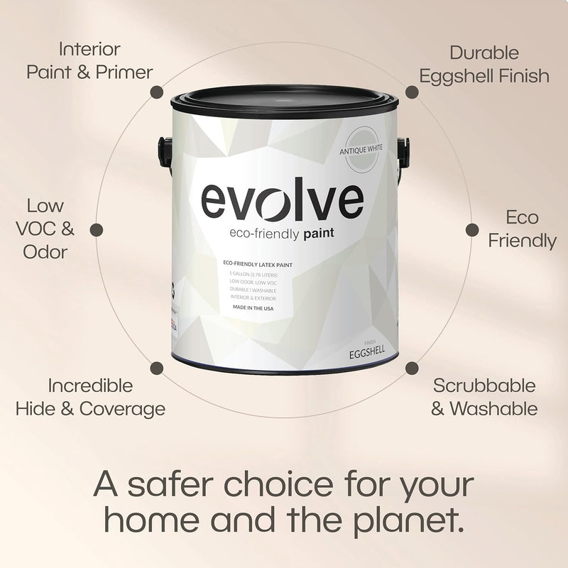 Eggshell Antique White Paint-3