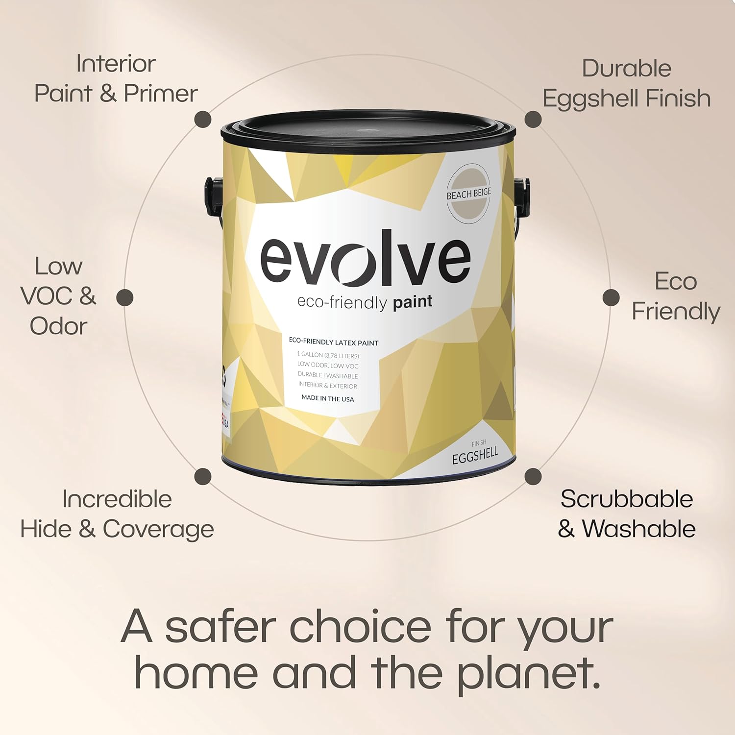 Eggshell Beach Beige Paint-3