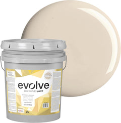 Eggshell Beach Beige Paint-1