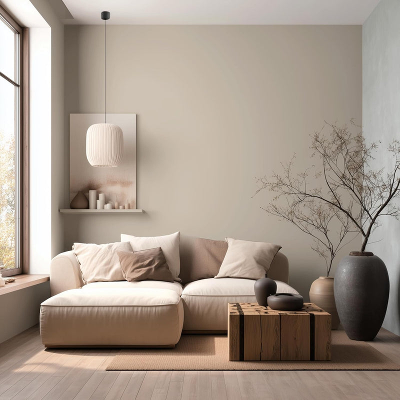 Eggshell Beach Beige Paint-4
