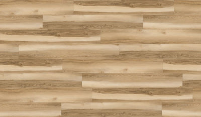 Bamboo