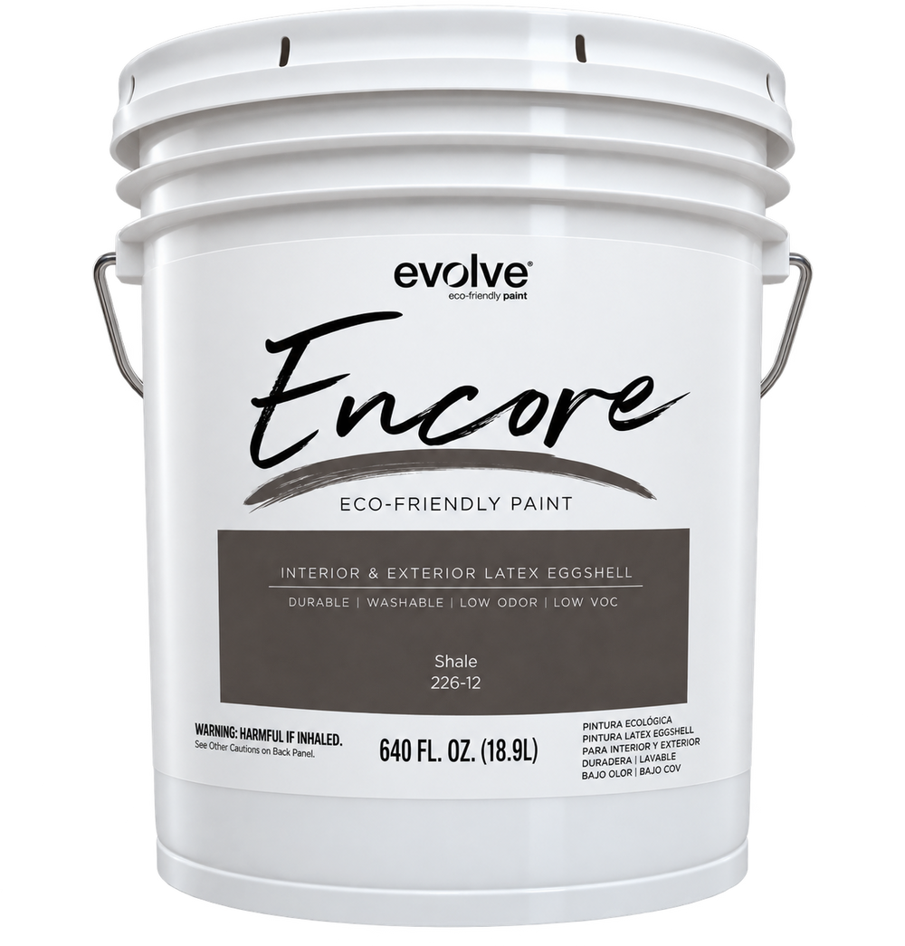 Eggshell Shale Paint-1