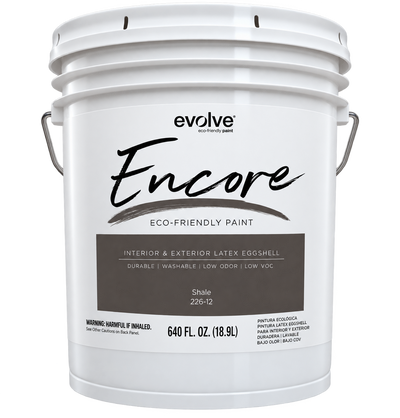 Eggshell Shale Paint