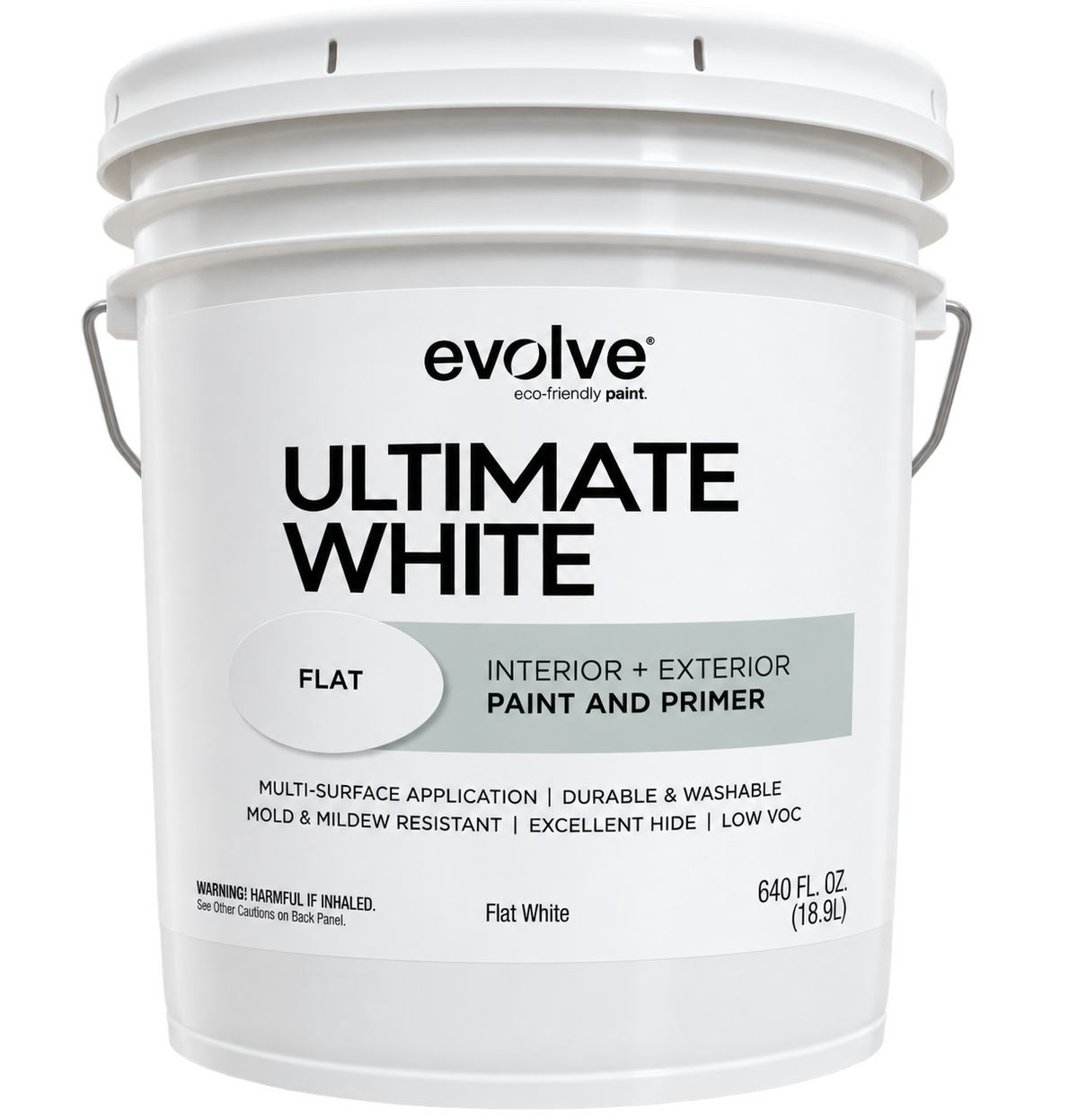Flat White Paint
