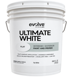 Flat White Paint-1