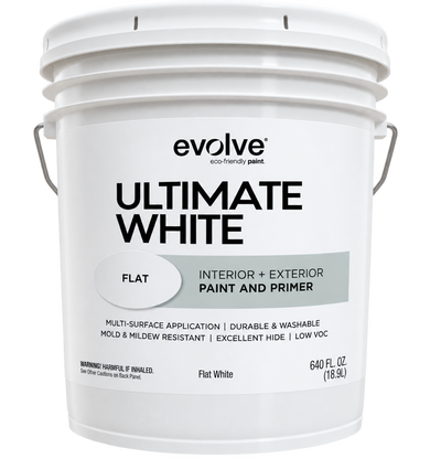 Flat White Paint
