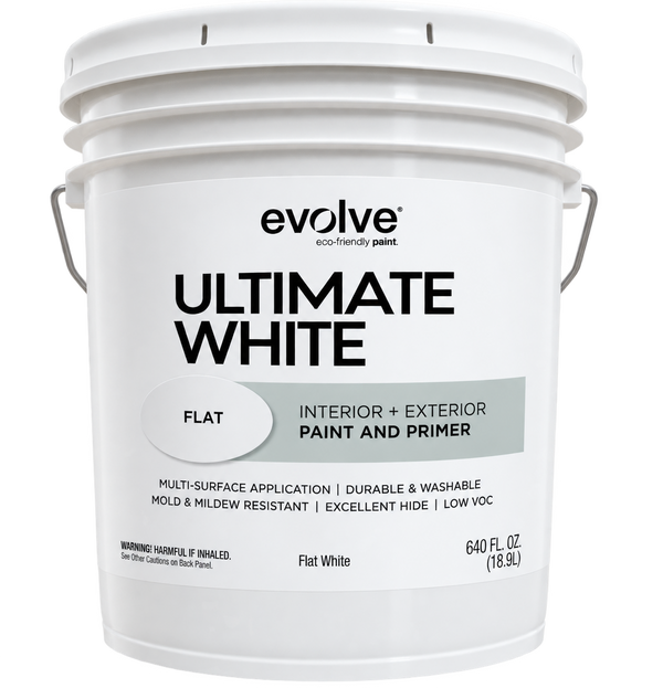 Flat White Paint