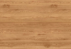 Forest Oak-1
