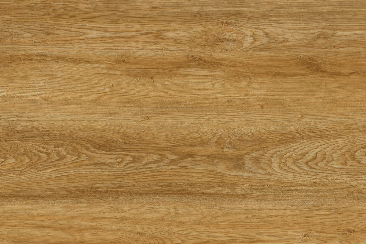 【lvane Spalko】 Scanline – Back Door Flooring